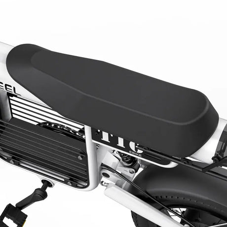 T16 EBIKE Electric Mountain Bike