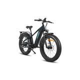 HAOQl All-Terrain 2.0 Electric Cycle Eagle Step over E-Bike with 250W Rear Hub Motor 60km Range Aluminum Carbon Frame Kenda Tire