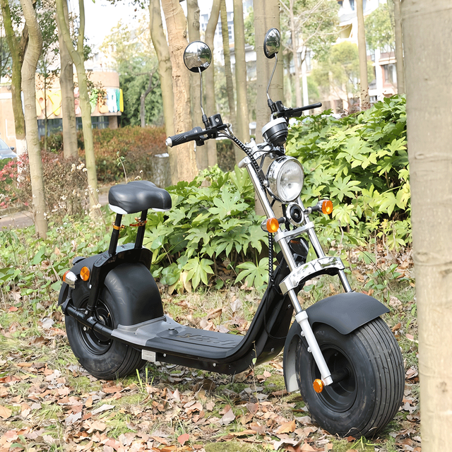 SC10 Electric Citycoco Scooter EEC