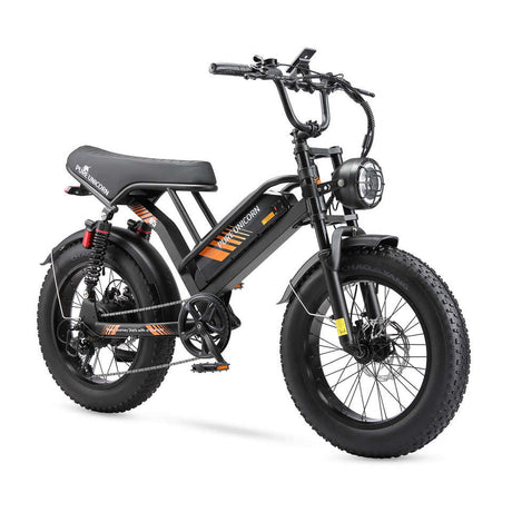 PURE UNICORN U5 Electric Dirt Bike 1000W Sportbike with Lithium Battery Fat Tire Moped Electric Motorcycles