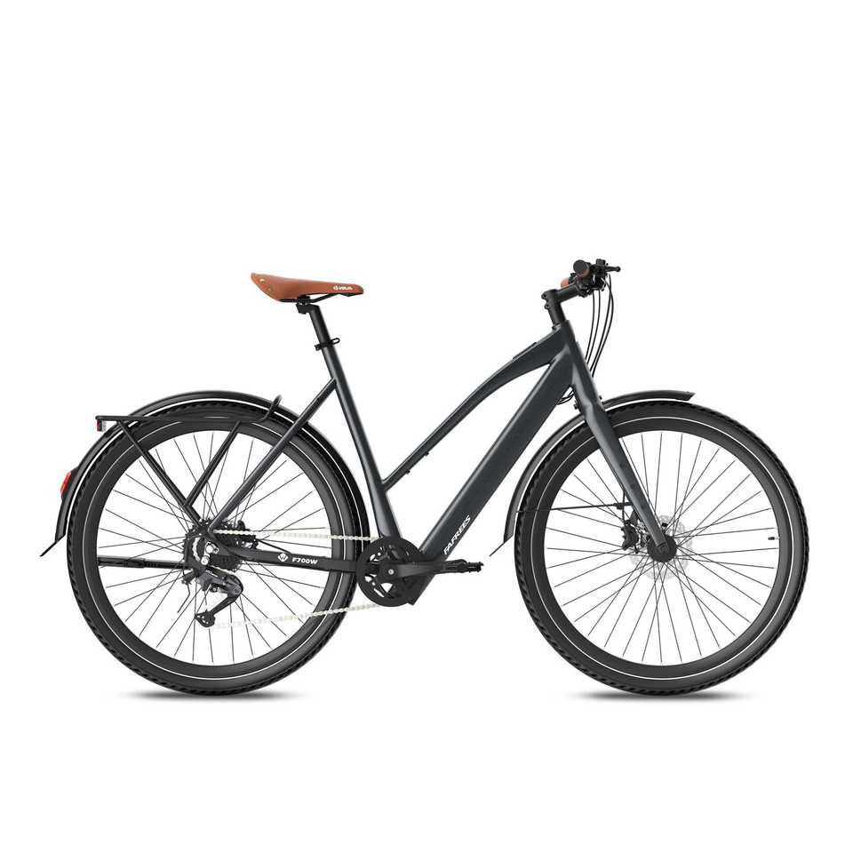 Fafrees F700W EU Electric City Bike for Urban Commute