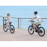 XD26-II Hybrid Electric Bike