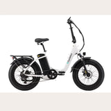 L10 Fat Tire Electric Bike