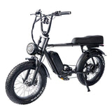 HOTTECH 48V 250W Electric Mountainbike with 20 Fat Bike B66 Steel Frame 15Ah Battery 7-Speed Tektro Disc Brakes Full Suspension