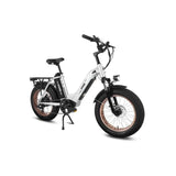 HAOQI Antelope Pro 750W Bafang Motor 16Ah+9Ah Battery 400 Lbs Payload Cargo Electric Bike