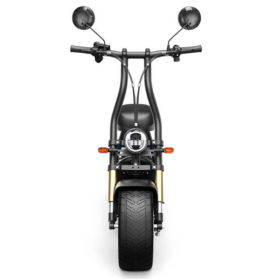 Honey Whale M5 Max Electric Scooter 1000W 48V Li Battery 14 Tires with Comfortable Seat 6-8 Hours Charging Time