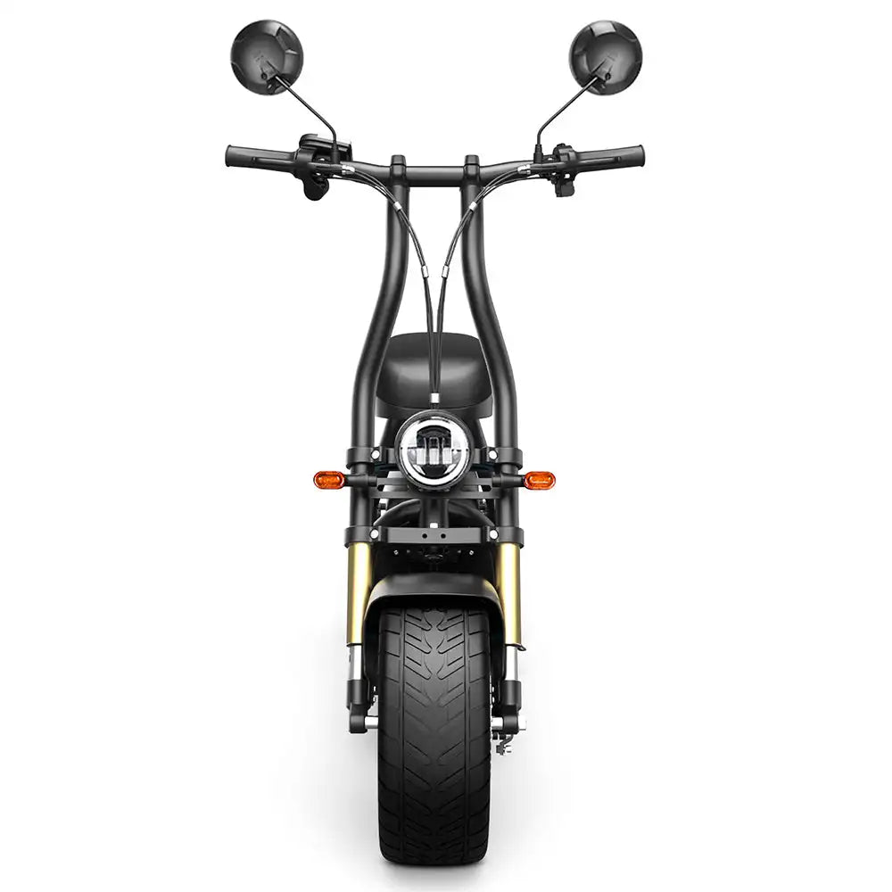 Honey Whale M5 Max Electric Scooter 1000W 48V 13Ah Battery 14 Tires with Comfortable Seat