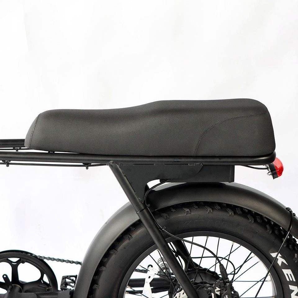 HOTTECH 48V 250W Electric Mountainbike with 20 Fat Bike B66 Steel Frame 15Ah Battery 7-Speed Tektro Disc Brakes Full Suspension