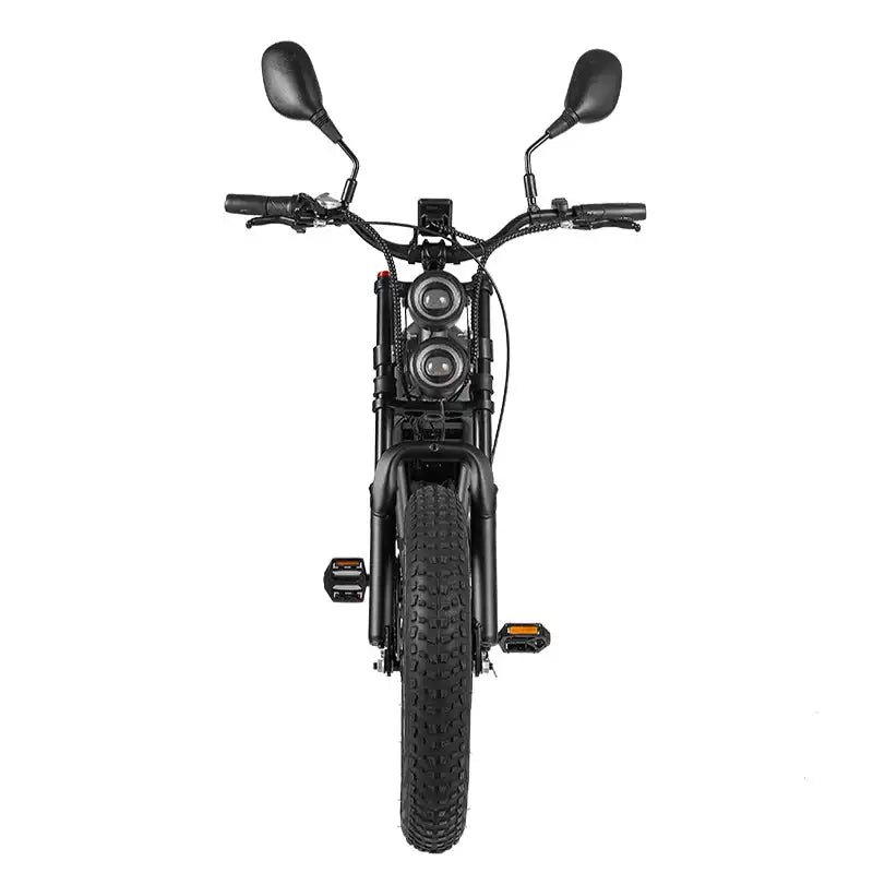 RANDRIDE DM711 20\" Electric Mountain Bike with 2000W 20Ah Dual Motors 60km Range 48v Lithium Battery 20\" Rear View Mirrors