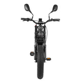 RANDRIDE DM711 20\" Electric Mountain Bike with 2000W 20Ah Dual Motors 60km Range 48v Lithium Battery 20\" Rear View Mirrors