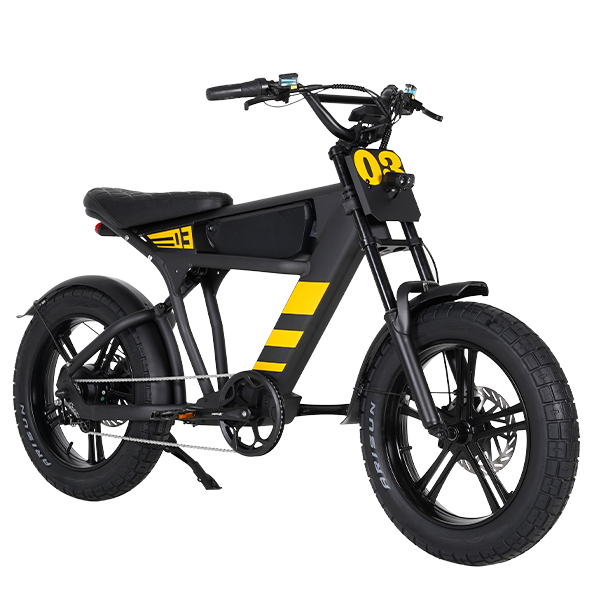 Mangosteen Student Ebike FT03 Best Bicycle College Students Central Rear Hub Motor Integrated Battery 60 km Range Electronic