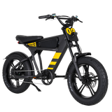 Mangosteen Student Ebike FT03 Best Bicycle College Students Central Rear Hub Motor Integrated Battery 60 km Range Electronic