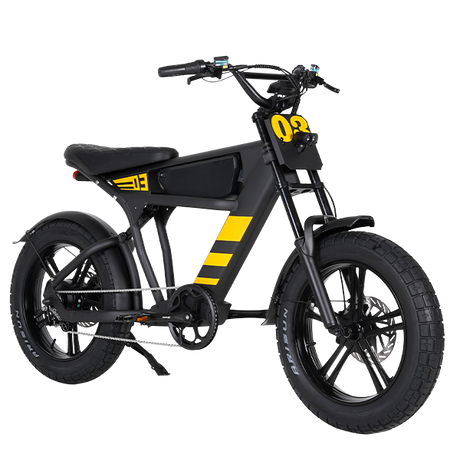 Mangosteen Student Ebike FT03 Best Bicycle College Students Central Rear Hub Motor Integrated Battery 60 km Range Electronic