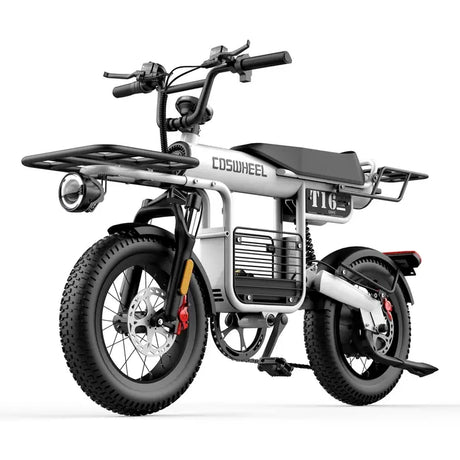 T16 EBIKE Electric Mountain Bike
