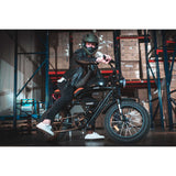 HAOQI for Certified Rhino Electric Motorbike-Premium 52V 1000W Rear-Drive Motor 400lbs Payload 5-Level Pedal Assist