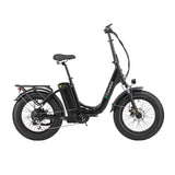 L10 Fat Tire Electric Bike