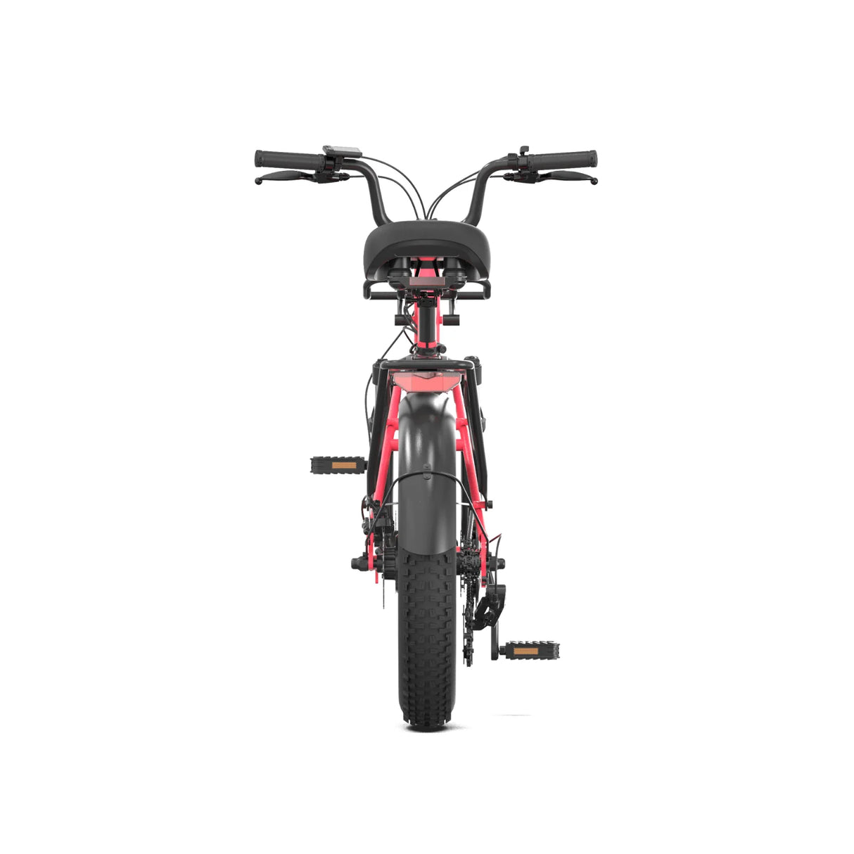 Pre Order - PVY LS20