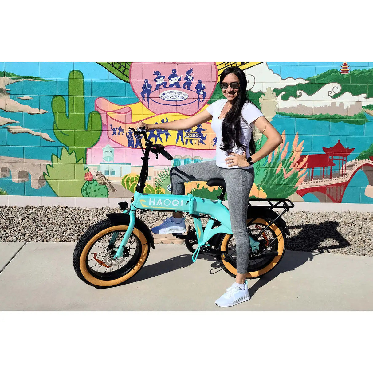 HAOQI Squirrel Folding Electric Bike (UL Certified)