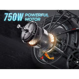 LOTDM200-II 750W Step-through Folding Bike