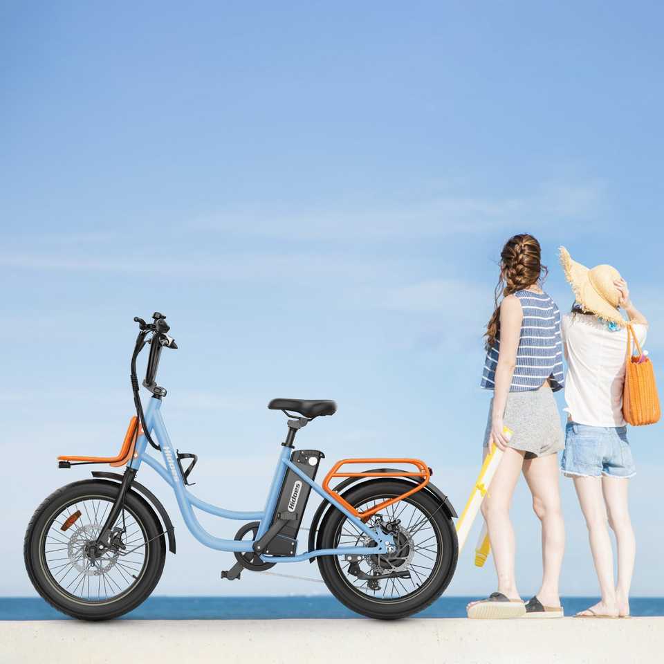 Hidoes C6 Electric Bike