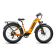 HAOQl All-Terrain 2.0 Electric Mountain Bike 250w Rear Hub Motor 48v Carbon Aluminum Frame 60km Range per Power Step Thru Eagle