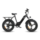 HAOQI Antelope 500W Cargo Electric Bike (UL Certified)