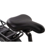 Snapcycle R1 Pro Step Thru Electric City E-Bike