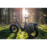 HAOQl 2.0 Antelope Dual-Akku Electric Cargo Bike with Lasten for Urban Commute