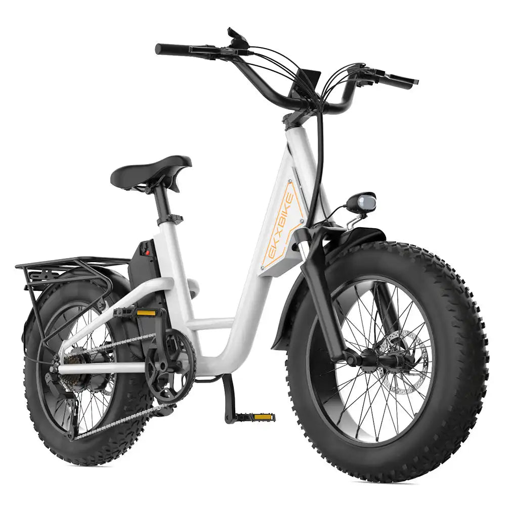 L1 Adult MTB Electric Bicycle with 1000W Rear Hub Motor 48V15.6AH Lithium Battery 20*4.0 Fat Tires Road Mountain Riding Options