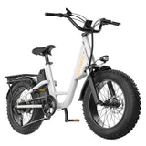 L1 Adult MTB Electric Bicycle with 1000W Rear Hub Motor 48V15.6AH Lithium Battery 20*4.0 Fat Tires Road Mountain Riding Options