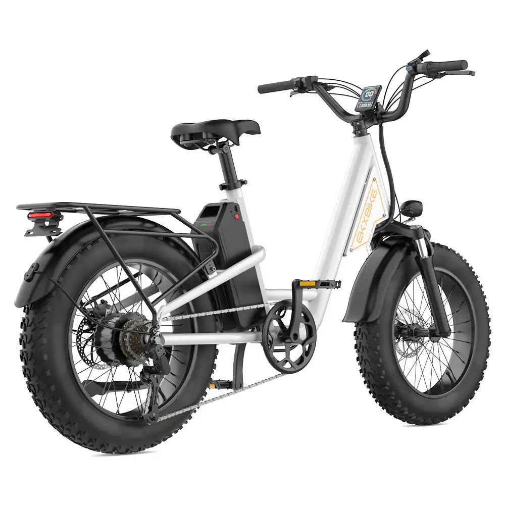 L1 Adult MTB Electric Bicycle with 1000W Rear Hub Motor 48V15.6AH Lithium Battery 20*4.0 Fat Tires Road Mountain Riding Options