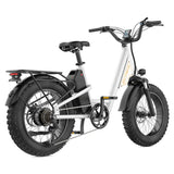 L1 Adult MTB Electric Bicycle with 1000W Rear Hub Motor 48V15.6AH Lithium Battery 20*4.0 Fat Tires Road Mountain Riding Options