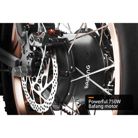 HAOQI Antelope Pro 750W Bafang Motor 16Ah+9Ah Battery 400 Lbs Payload Cargo Electric Bike