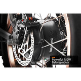 HAOQI Antelope Pro 750W Cargo Electric Bike