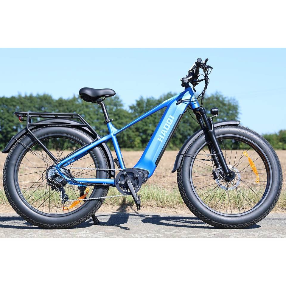 HAOQl All-Terrain 2.0 Electric Cycle Eagle Step over E-Bike with 250W Rear Hub Motor 60km Range Aluminum Carbon Frame Kenda Tire