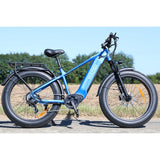 HAOQl All-Terrain 2.0 Electric Cycle Eagle Step over E-Bike with 250W Rear Hub Motor 60km Range Aluminum Carbon Frame Kenda Tire