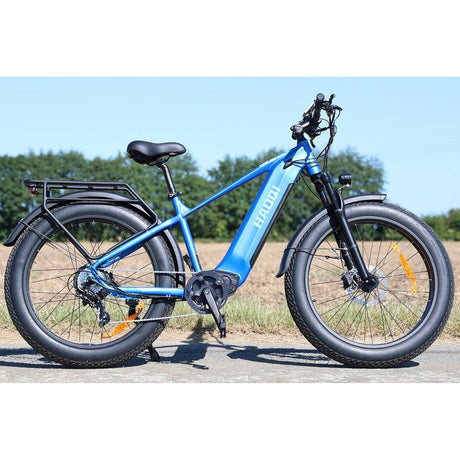 HAOQl All-Terrain 2.0 Electric Cycle Eagle Step over E-Bike with 250W Rear Hub Motor 60km Range Aluminum Carbon Frame Kenda Tire