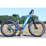 HAOQl All-Terrain 2.0 Electric Cycle Eagle Step over E-Bike with 250W Rear Hub Motor 60km Range Aluminum Carbon Frame Kenda Tire