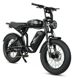 M20-II 20-Inch Electric Mountain Bike MTB with 48V/36Ah Dual Battery 1000W Motor