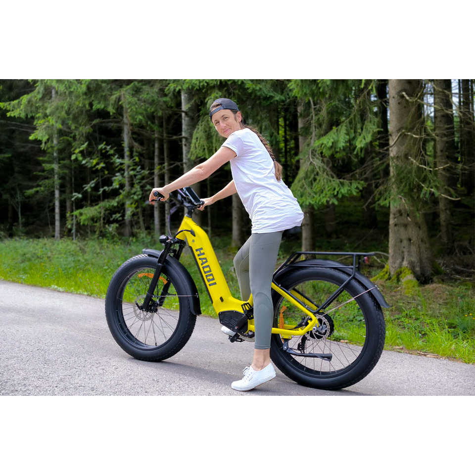 HAOQl All-Terrain 2.0 Electric Mountain Bike 250w Rear Hub Motor 48v Carbon Aluminum Frame 60km Range per Power Step Thru Eagle