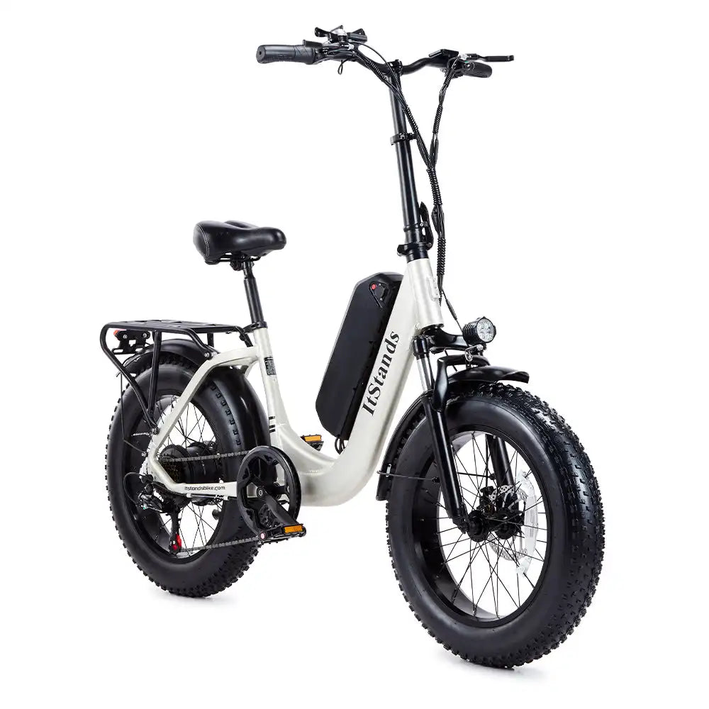 U1 Fat tire one piece Step-Through Design Ebike  800W 48V 15Ah  High-Performance Electric Bicycle