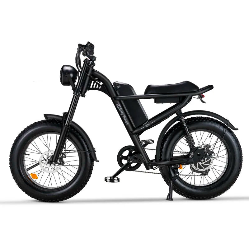 E-Bike RIDING’TIME Z8 20*4.0 inch mountain electric bike 48V 15.6A 500W