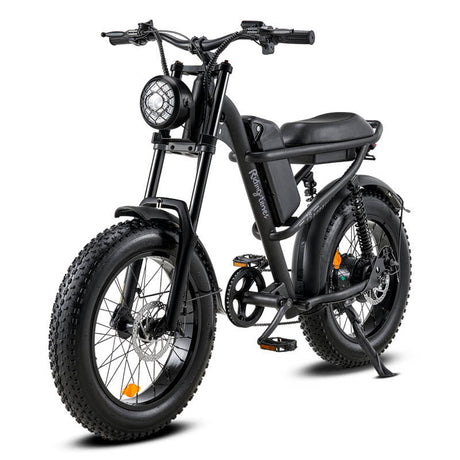 20*4.0 Inch Riding'time Z8 Electric Mountain Bike 48V 15.6A 500W