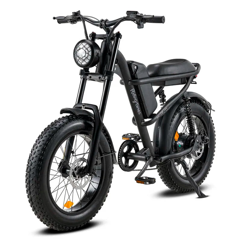 E-Bike RIDING’TIME Z8 20*4.0 inch mountain electric bike 48V 15.6A 500W