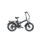 250W 48V 13Ah Adult Folding Ebike Günstiger Preis Leichte Stadt 20 Fat Tire E-Bike