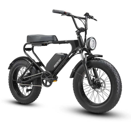 MEELOD DK200 Entry-Level Moped Style Ebike with 750W Motor 624Wh Battery IP65 Waterproof