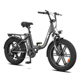 Pre Order - PVY LS20
