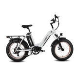 HAOQI Antelope Pro 750W Cargo Electric Bike (UL Certified)