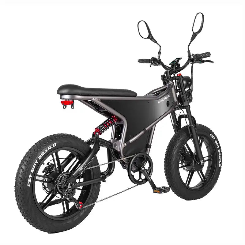RANDRIDE DM711 20\" Electric Mountain Bike with 2000W 20Ah Dual Motors 60km Range 48v Lithium Battery 20\" Rear View Mirrors