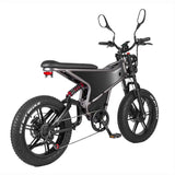 RANDRIDE DM711 20\" Electric Mountain Bike with 2000W 20Ah Dual Motors 60km Range 48v Lithium Battery 20\" Rear View Mirrors